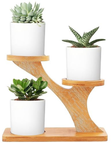 SUPRROW 3er Pack sukkulente keramische Pflanzentöpfe Holzständer,Sukkulenten Töpfe Holzständer, Bambus-Tablett, Dekoration aus Bambus für Home Office Desktop Windowsill Dekor