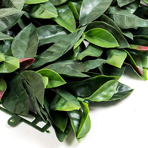 STI Siepe artificiale Ornamentale in Rotoli o Pannelli, Vasi e Quadri vegetali con piante artificiali Top (Fotinia Red 50x100cm)