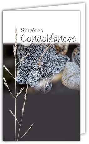 AFIE 24-1007-B Carte Sincères Condoléances avec Enveloppe Blanche 10x16,5cm - Végétale Graminée Feuille morte Epuré Sobre Deuil Décès