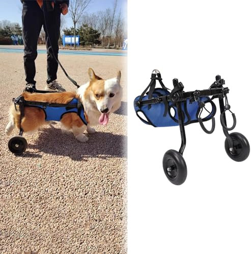 EXCLURA Hunderollstuhl Fahrradanhänger für Kleine Hunde für Die Hinterbeine, Behindertengerechter 2-Rad-Hundeanhänger, Verstellbarer Hundeanhänger/Rollstuhlgurt, für Chihuahua und Corgi(Size S)