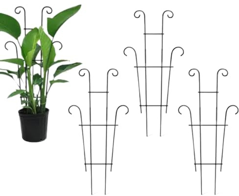 Varillas de soporte para plantas y plantas trepadoras, inoxidables y ajustables, soporte para tallo de plantas, para hiedra, hiedra, plantas frutales, plantas de hortalizas, plantas de pepino, vid de