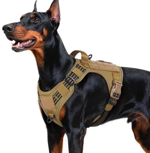 rabbitgoo Dog Harness for Large Dogs No Pull, Tactical Service Pet Vest with Molle and Control Handle, Adjustable and Reflective Military Harness for Easy Walking and Training, Brown, L
