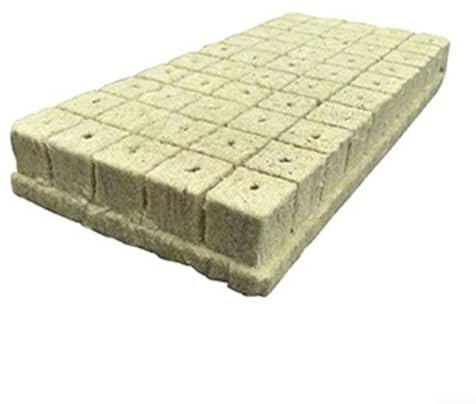 Growing Medium 4272100 Lot de 72 cubes de laine de roche pour tous vos besoins de culture de plantes avec un excellent contrôle de l'humidité (30 x 30 x 40 mm)