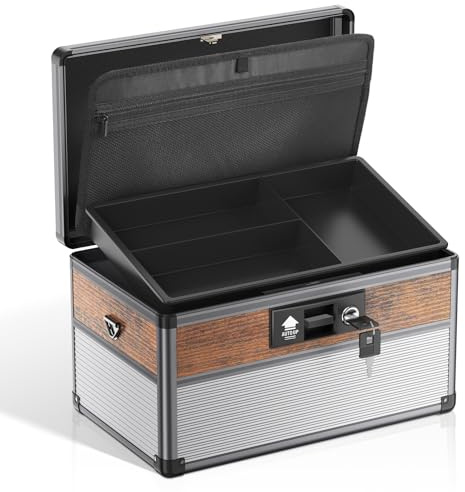 Verschließbare Box, Medizinbox Medikamenten Aufbewahrung Abschließbare kiste, Aufbewahrungsbox mit Schloss, Tragbare Aufbewahrungsbox abschließbar mit Schlüssel Riemen 12*7.68*6.87 Zoll (Mittel)