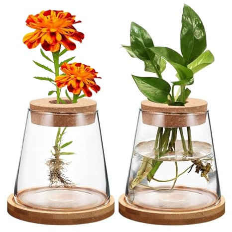 MeYuxg Ableger Pflanzen Glas, 2er Pflanzen Anzuchtstation, Terrarium Flaschengarten Pflanzgefäß Vase Glas Wasserstation für Hydrokultur, Zuhause, Büro, Tischdekoration