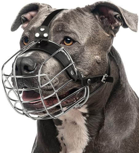 CleverTail Museruola in metallo per Pitbull di taglia grande – Museruola a cesto per cani con cinghie in pelle regolabili – Museruole in gabbia d'acciaio per cani per prevenire il morso – Protezione