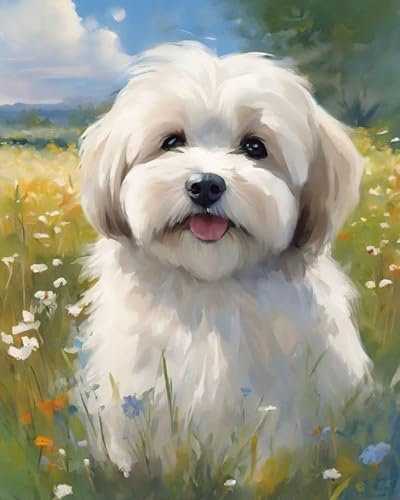 ZMHZMY Malen nach Zahlen Havaneser Hund, Blumenwiese Painting by Numbers Kit DIY ölgemälde Kit für Erwachsene,Anfänger Painting Set 16x20 Zoll Leinwanddruck Wandkunst Dekoration