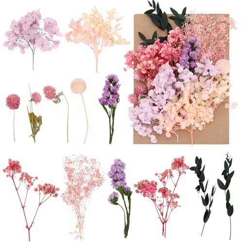 Halinuia Séchées Fleurs, Vraies Fleurs Sechees Naturelles pour DIY Bougie Fabrication Artisanale Scrapbooking Cadre Photo Decoration Mariage (Violet, Rose)