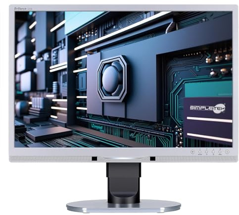 SIMPLETEK - Monitor Schermo Display 225B1CS/00 22 1920 X 1080 px Full HD (FHD) VGA DVI USB VESA 100 con Base Computer PC Desktop | Cavo di Alimentazione e VGA Inclusi (Ricondizionato)
