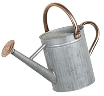 MotiveTech Regadera Grande de Metal para Plantas con Desmontable Y Mango de Acero Inoxidable Ideal para Riego Precisa en Jardines Y Hogares Apta para Uso E, 4l