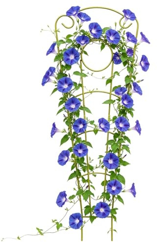Traliccio da giardino – Supporto da giardino in metallo antiruggine | Traliccio per piante rampicanti – per piante rampicanti – per piante rampicanti Monstera fioriera per ortaggi in vaso cortile