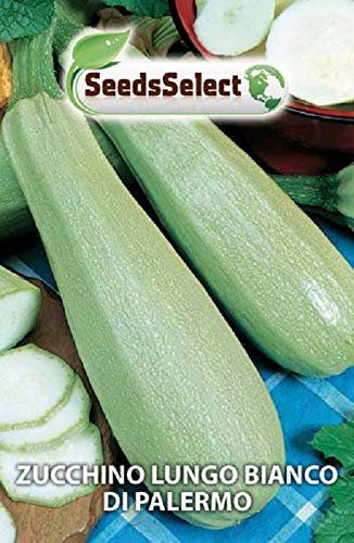 Semi Di Zucchina Zucchino Bianco Di Palermo Sementi Orto Giardino