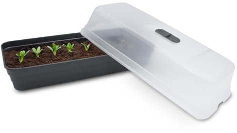 Spetebo Fensterbank Gewächshaus mit Deckel - 51 x 23 cm - Balkon Anzuchtkasten mit Treibhaus Abdeckung - Anzuchtschale Zimmergewächshaus Pflanzschale zur Anzucht von Setzlingen