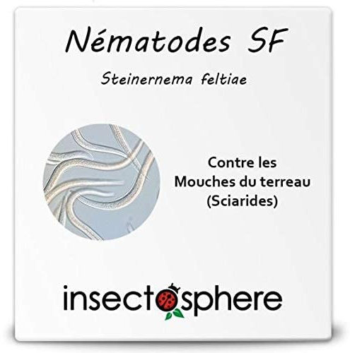 Nématodes Sf anti mouche des terreaux ou sciarides, traitement naturel et bio - 5 M