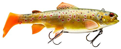 Daiwa Angeln Wobbler Swimbait Prorex Live Trout SS 210DF 21cm Live Brown Trout