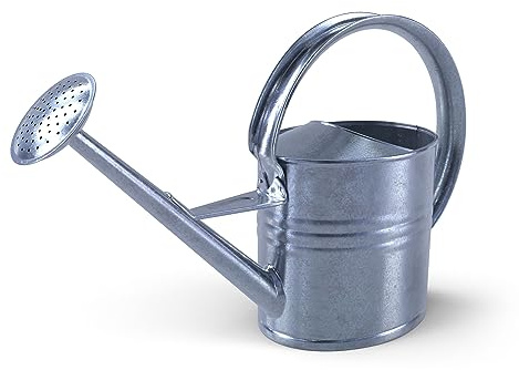 Gießkanne verzinkt 10 Liter Metallgießkanne Zink Gießkanne Blumengießkanne Gartengießkanne für Innen und Außen Schönes Design Deko