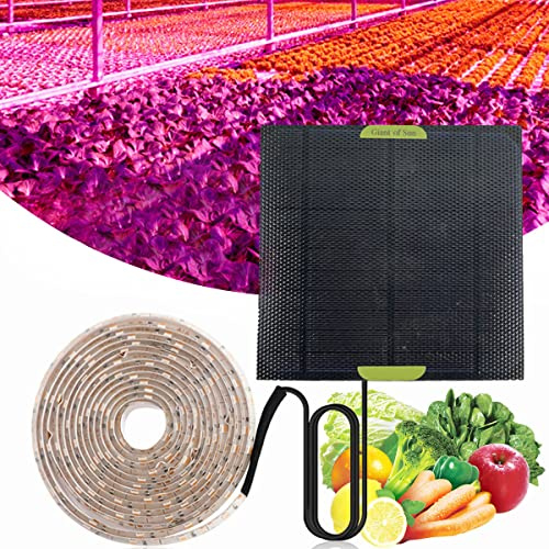 Caffney Solar LED Plant Grow Light Strip 16.4ft Full Spectrum Plant Grow Lamp 5W Solar Powered Seeding Growing Light for Succulents Greenhouse Plants Hydroponic Culture Garden Seedlings