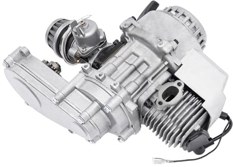 czyuRachel 49cc 2 Takt Motor, Mini Motor Fahrrad Motorisierte Professionelles Zweitakt-Motor Benzin Hilfsmotor Luftgekühlter Motor Zugstart Für Pocket Bike Mini Dirt Bike Atv, Silber