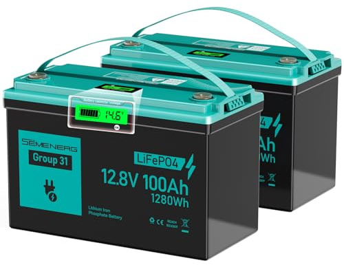 SEMENERG 12V LiFePO4 100Ah Batterie mit LED, Lithium Batterie mit 100A BMS, IP65 wasserdicht, bis zu 15000 Zyklen, 12V Akku für Trolling Motor, Solaranlagen, Marine Batterie, 2 Packungen