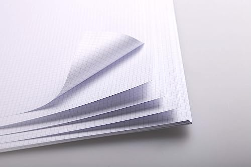 Clairefontaine 975187C Packung mit 20 Bögen Bristol, DIN A3, 29, 7 x 42cm, 320g, kariert, Ideal für Modellentwürfe, 1 Pack, Weiß