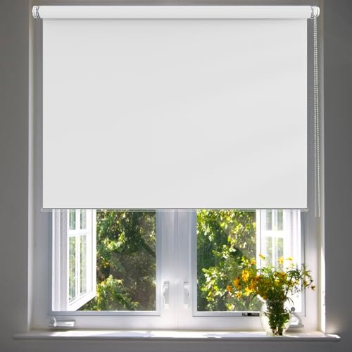 Verdunkelungsrollo 65 x 100 cm, Sichtschutz und Sonnenschutz Blickdicht, Lichtdurchlässig Verdunkelnd Rollos, mit Aluminium-Schienen, für Fenster & Tür, Weiß