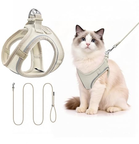 Hundegeschirr mit Leine 255cm S Set, Reflektierend (Beige) | Brustgeschirr Für Kleine Hunde & Katzen, Atmungsaktives Mesh, Anti-Ausbruch, Weich, Spaziergang