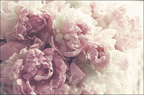Muralo Fototapete Blumen 240 x 360 cm Vlies Tapete Wandtapeten Pfingstrosen Wohnzimmer Schlafzimmer Moderne Wandbilder XXL Pflanzen Natur Wand Dekoration