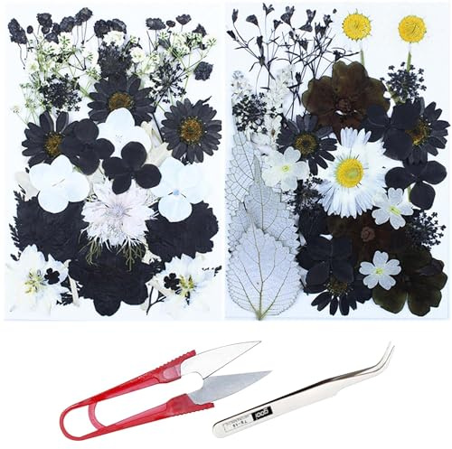 Cayway 2 Packung NatüRliche Getrocknete Gepresste Blumen für Harz, Schwarz DIY Getrocknete Gepresste Blätter DIY Gepresste Blumen für Kunst Basteln DIY Harz Scrapbooking Handwerk, Stil B