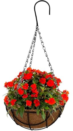 Rurunklee Blumenampel, Kokos, mit Kette, 25,5cm Durchmesser als Hängeampel