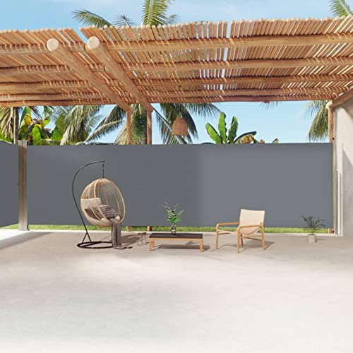 Keyroto Seitenmarkise Balkon Seitenmarkise Seitenmarkise Ausziehbar Doppel Seitenmarkise Anthrazit 220x1200 cm