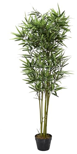 HOME DECO FACTORY Doppelrollo Klemmfix Duo-Rollo 60x150 cm Weiß | Künstliche Bambuspflanze aus PEVA-Kunststoff, 150 cm, natürliche Dekoration, pflegeleicht, für Wohnzimmer oder Büro, grün