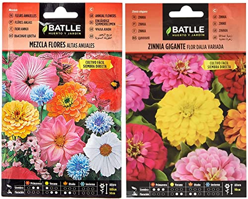 Mezcla Flores ALTAS anuales & Zinnia GIGANTE flor DALIA vda