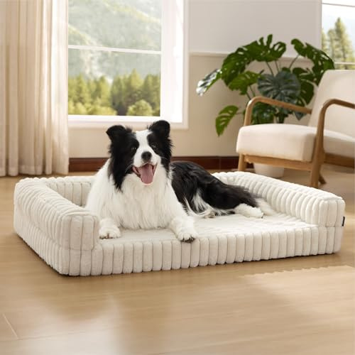 BEDSURE orthopädisches Hundebett Grosse Hunde - 89x64x18cm | wasserdichtes Hundesofa mit Memory-Schaum & Eierkarton-Schaum, waschbarer und abnehmbarer Cordbezug Hundecouch, creme
