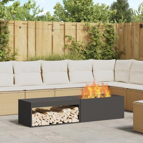 Générique brasero avec Rangement pour bûches Noir 160x45x35 cm Acier,Cheminées,23.5KG-859002