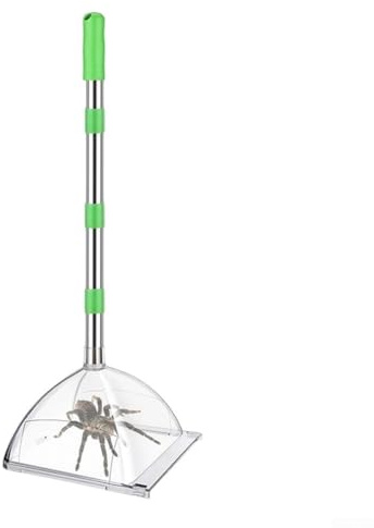 Attrape-araignées longue portée avec poignée réglable pour capturer sans contact les araignées et les insectes Solution humaine pour la lutte antiparasitaire dans les maisons