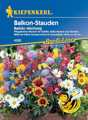 Kiepenkerl Profi-Line Blumensamen-Mischung Balkon-Stauden Baristo 4392 - Pflegeleichte Stauden - Höhe ca. 40cm - Saatgut, Blumenwiese Samen