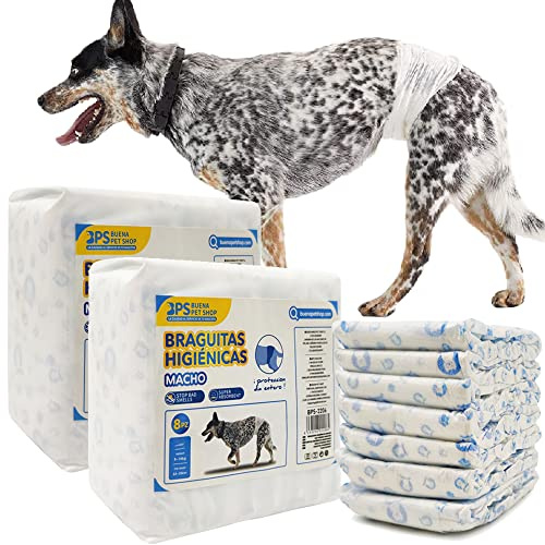 BPS BUENA PET SHOP Lot de 16 couches pour chien sanitaire jetable masculin super absorbant culotte hygiénique 4 tailles (L) BPS-2206x2 blanc