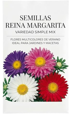 Semillas de Margarita Reina para Jardín, Macetas y Balcones con Floración Decorativa de Primavera y Verano | DECOALIVE