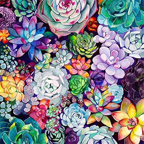 DIY 5D Diamant Painting Malen nach Zahlen Kit für Kinder Sukkulenten Diamant Gemälde voller Bohrer Strass Stickerei Painting Kunst Basteln Leinwand Wand Aufkleber für Home Decor -Round drill,25x25cm