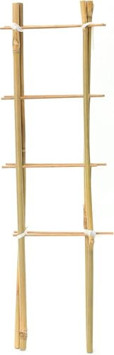 Natural Eco-Friendly Bamboo Cane Plant Pot Ladder Trellis Outdoor Garden Planter Climbing Plant Support Frame Stake Stick Pole (86cm, 3)