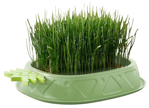Zubehors Katzengras-Topf, Katzengras-Übertopf für Zimmerkatzen | Katzengras-Pflanztablett,Weizengrastopf im Ananas-Design, erdfreier Pflanzkasten, Bio-Katzengras für den Innenbereich, Keimschale,