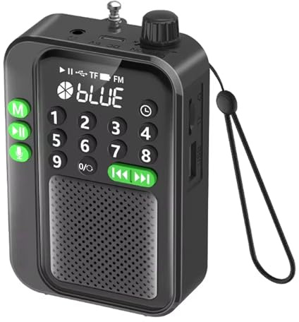 fesoklaf Pocket FM-radio Bärbar FM-radio Liten Trådlös Bluetooth-högtalare med LED-display Inspelning Sömntimer Stöder TF-kort USB-disk MP3-spelare Uppladdningsbar 5 W Högtalare för Camping Vandring (Svart)