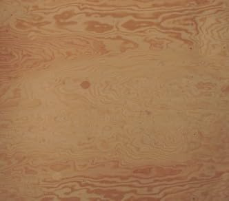 FIR Marine Plywood 1 X 24 X 24