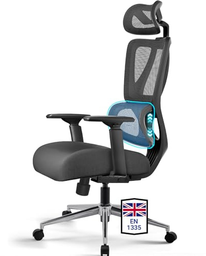 MELOKEA Ergonomic Office Chair with 3D Adjustable Lumbar Support, High Back Mesh Desk Chair with 3D Armrests & Spring Cushion Seat, 3-Position Tilt Lock, Swivel Computer Chair, EN12520