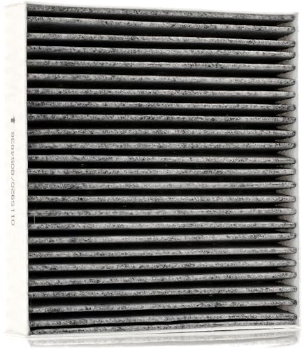 STARK SKIF-0170338 Innenraumfilter Pollenfilter Aktivkohlefilter Höhe: 30 Breite: 185 Länge: 195 Kompatibel mit FIAT PANDA 169 500 312 500 C 312 Panda Schrägheck 312, 319, ABARTH
