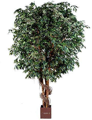 Artificielles.com - Giant Artificial Ficus Benjamina - Height 380 cm - Length 160 cm - 13056 leaves in pot - Height 380 cm - Colour: Green
