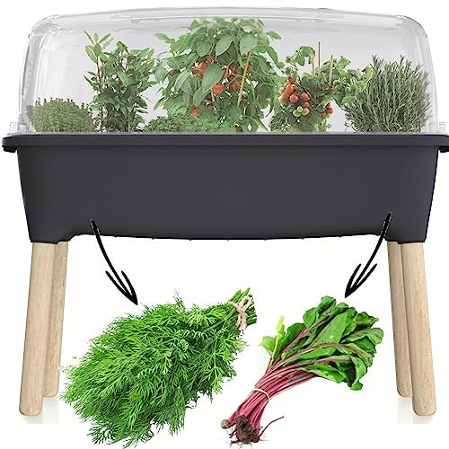 Mini Gewächshaus Anzuchttopf Planter Anthrazit Anthrazit 77x75,5cm Pflanzkasten Blumenkasten mit Deckel Hochbeet Blumentopf wachsendes Gemüse Gardering Sämling frisches Urban Garden Garten im Haus