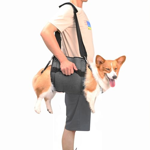 COODEO Hundetragegurt, Notfallrucksack Unterstützung für Rehabilitation Hundelift Geschirr, Hundeträger für ältere Hunde Gelenkverletzungen, Arthritis, Treppe hinauf (L,Schwarz)