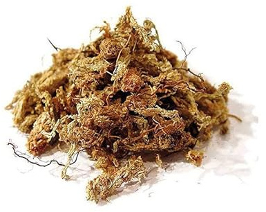 SFAGNO CILENO PREMIUM NATURALE – Substrato in Fibre ad Alta Ritenzione Idrica per Orchidee, Bonsai, Piante Tropicali e Carnivore – Sterilizzato, Antibatterico e Biodegradabile – Multi Formato (1Kg)