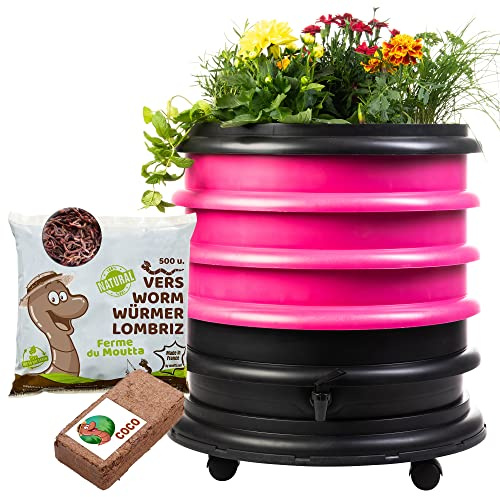WormBox | Wurmkomposter Wurmfarm Wurmkiste mit 3 Schalen Fuchsie + Pflanzgefäß + 250g Kompostwürmer / 500 STK + 1 Coco | 48 Liter | Regenwurmkomposter, Kompostwürmer produzieren Wurmhumus